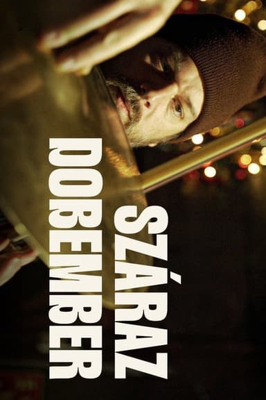 Száraz dobember poster