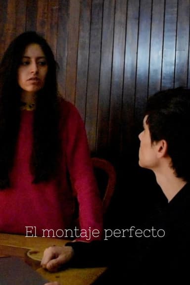 El montaje perfecto poster
