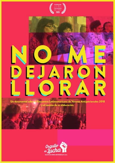 No me dejaron llorar poster