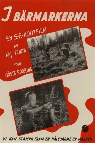 In the Berry Fields poster