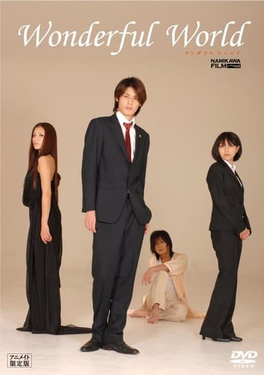 Wonderful World poster