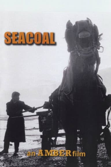 Seacoal poster