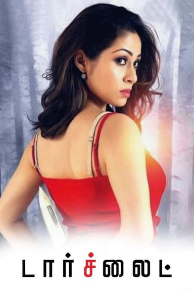 Torchlight poster