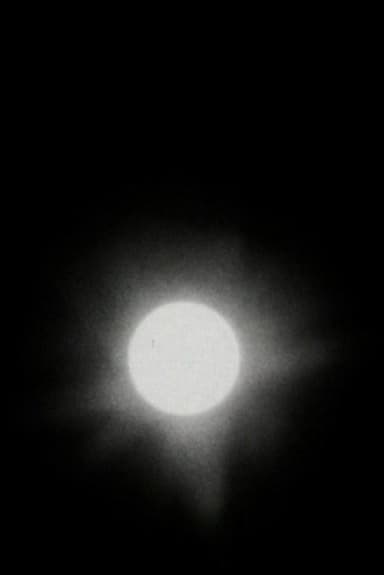 The Transit of Venus poster