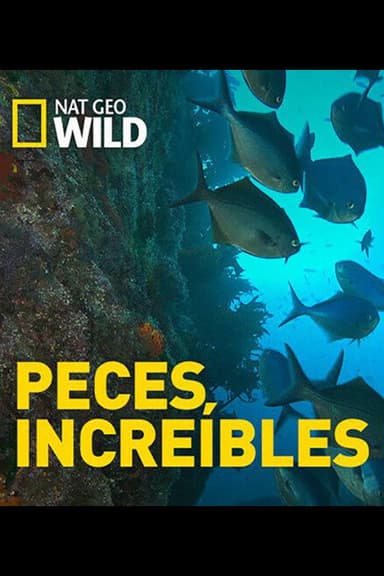 Incredible Fish poster