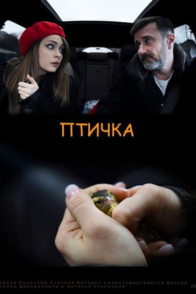 The Birdie poster