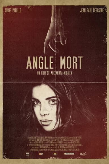 Blind Spot poster