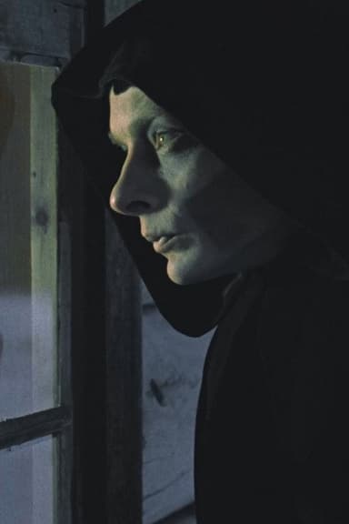 The Visitor poster