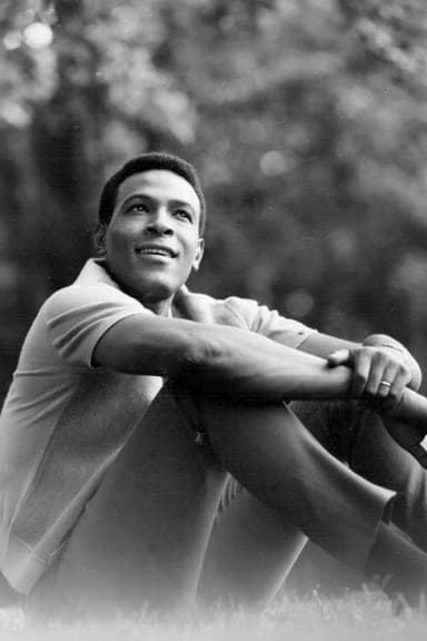 Marvin Gaye: What's Going On poster