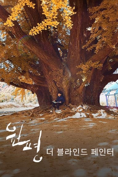 Wonpyung - THE BLIND PAINter poster