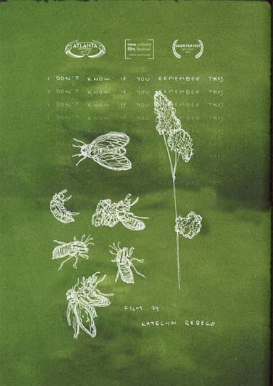 I Don't Know If You Remember This poster