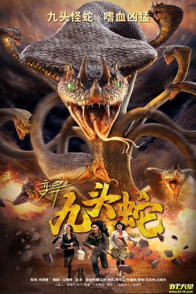 Variation Hydra poster