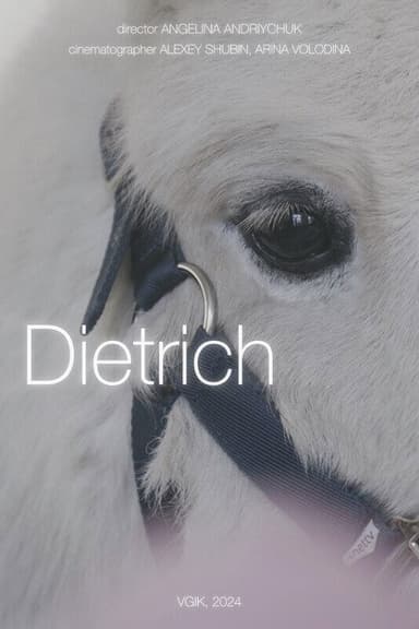 Dietrich poster
