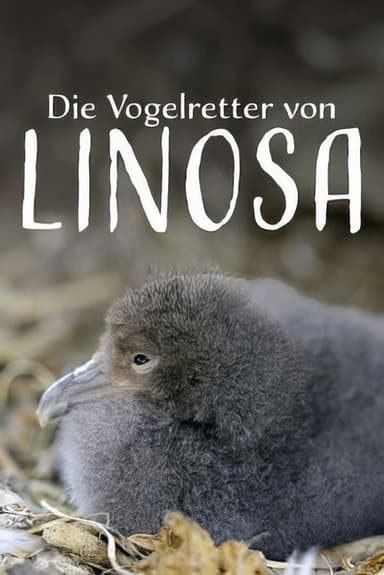 Die Vogelretter von Linosa poster