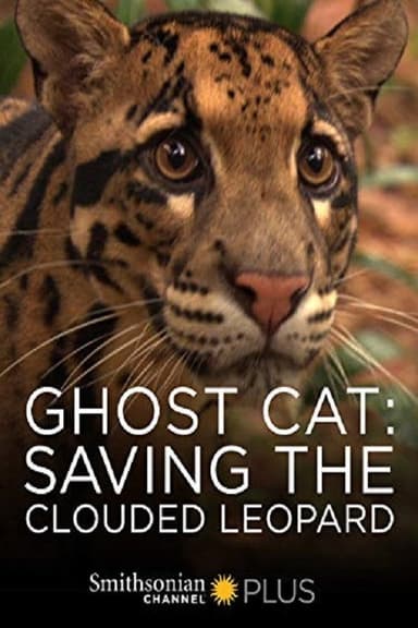 Ghost Cat: Saving the Clouded Leopard poster