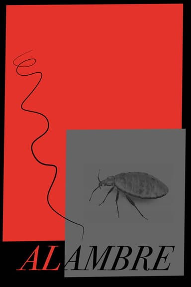 ALAMBRE poster