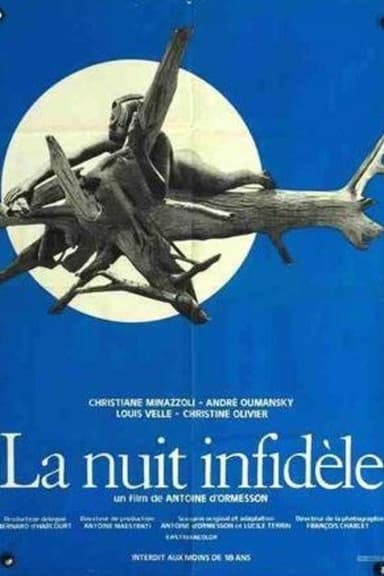 Unfaithful Night poster