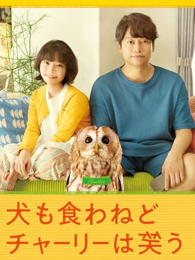 Everything Will Be Owlright! poster