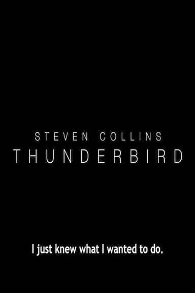 Thunderbird poster