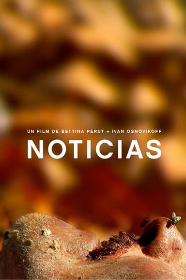 Noticias poster