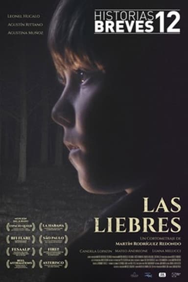 The Hares poster