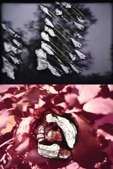 Reincarnation poster