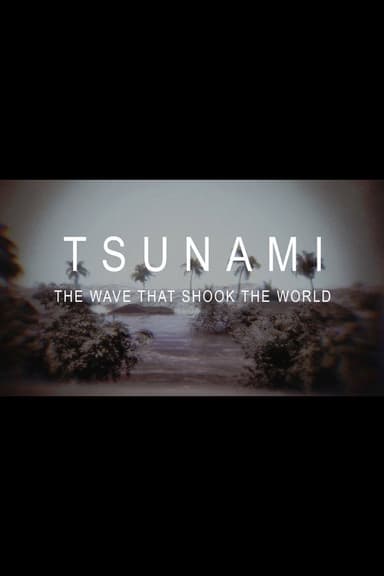Tsunami: The Wave That Shook the World poster