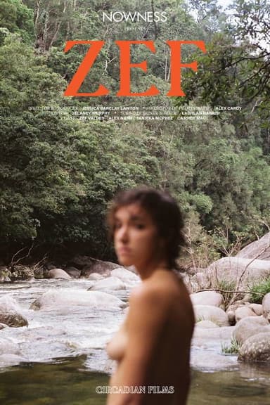 ZEF poster