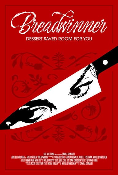 Breadwinner poster