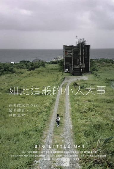 Big Little Man poster