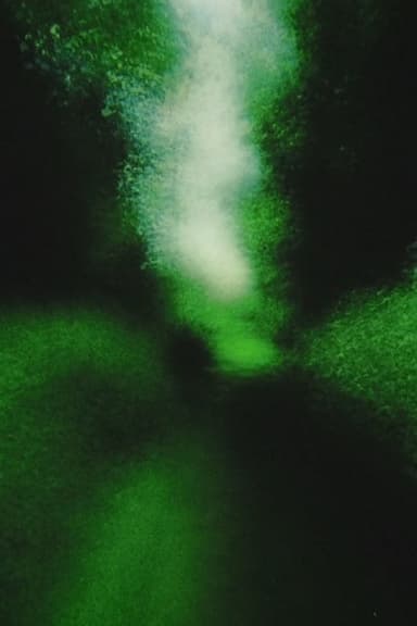Brouillard #12 poster