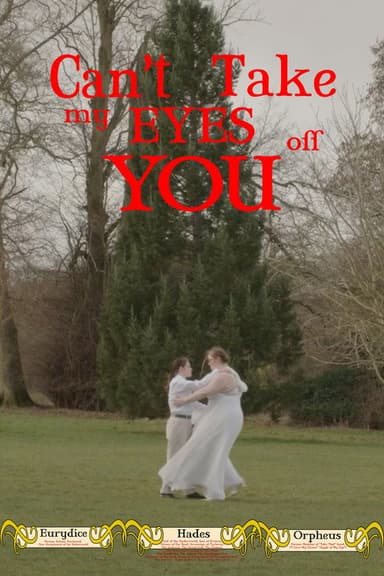 Can't Take My Eyes Off You poster