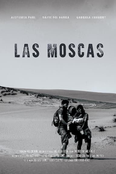 The Flies poster