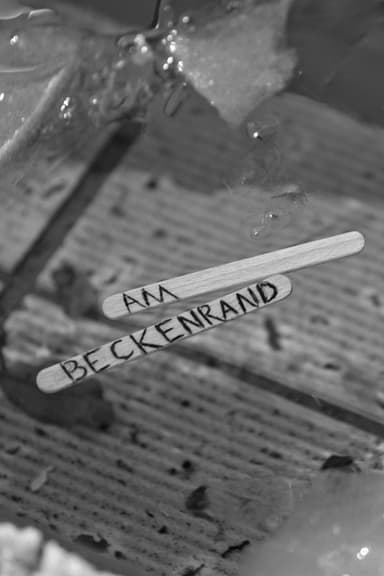 Am Beckenrand poster
