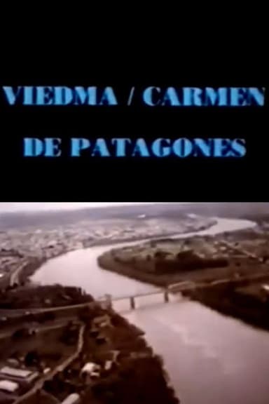 Viedma hoy poster