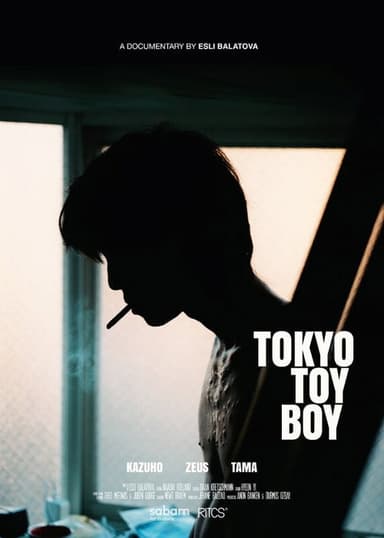 Tokyo Toy Boy poster