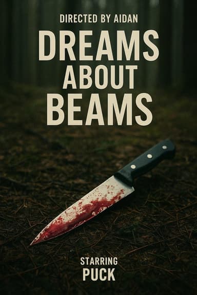 Dreams About Beams poster