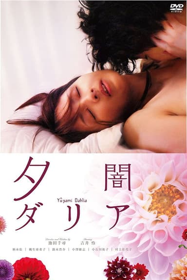 Dusk Dahlia poster