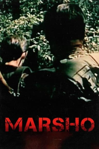 Freedom poster