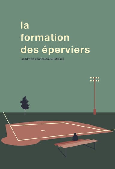 La Formation Des Éperviers poster
