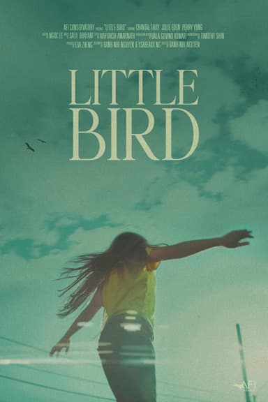 Little Bird poster