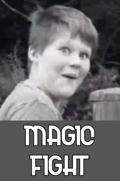 Magic Fight poster