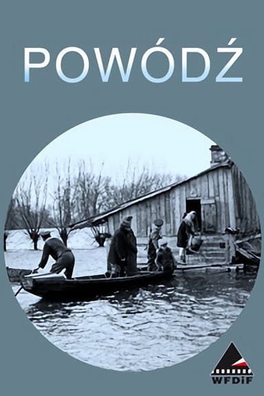 Storm in Poland poster