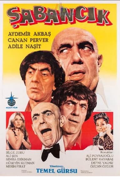 Şabancık poster