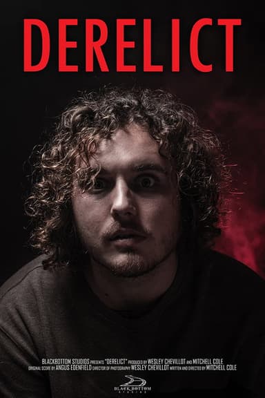 Derelict poster