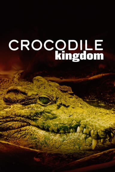 Crocodile Kingdom poster