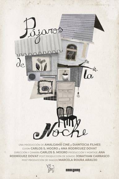 Pájaros de la noche poster