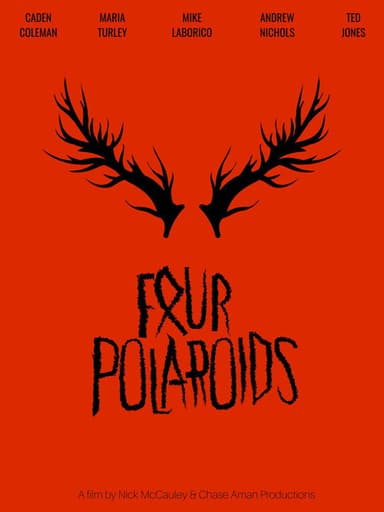 Four Polaroids poster