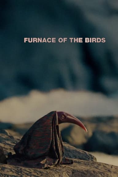Furnace of the Birds poster