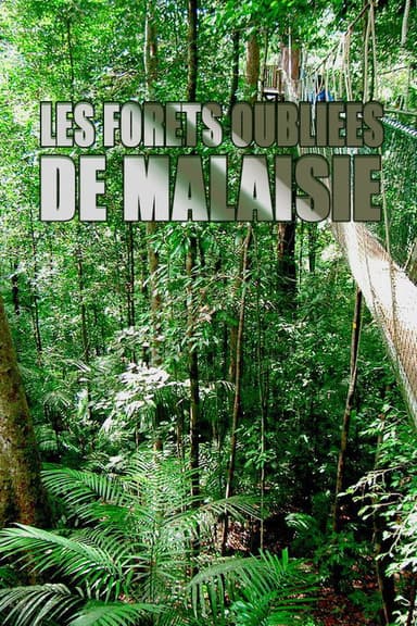 Les forêts oubliées de Malaisie poster